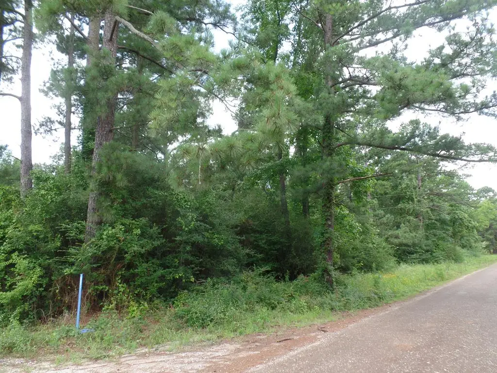 340 Cr 2650, Shelbyville, TX 75973 - #1