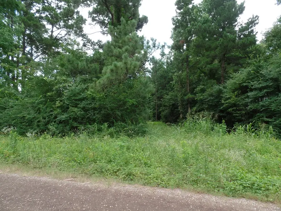 340 Cr 2650, Shelbyville, TX 75973 - #2