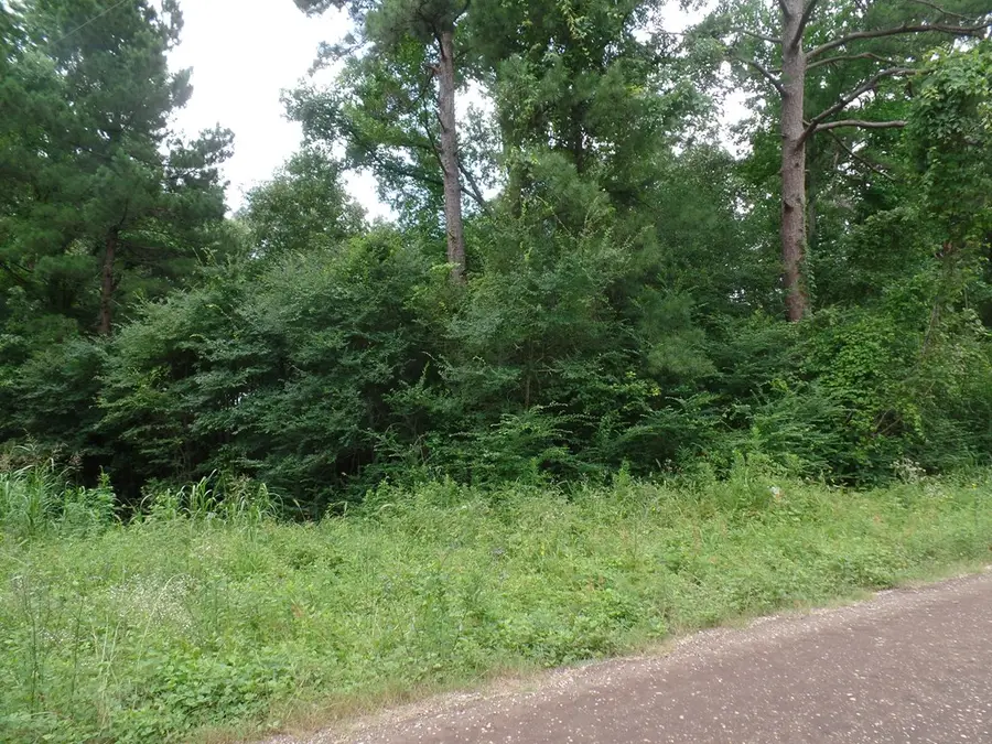 340 Cr 2650, Shelbyville, TX 75973 - #3