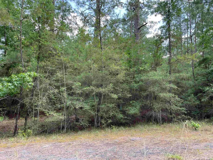 232 Sitka, Brookeland, TX 75931 - #3