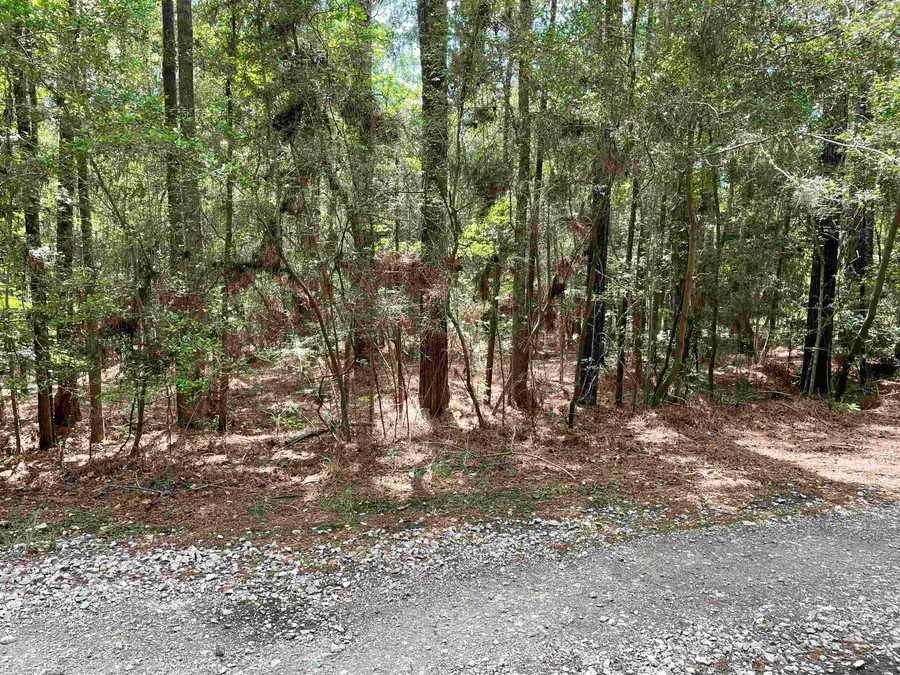 225 Sassafras Drive, Brookeland, TX 75931 - #2