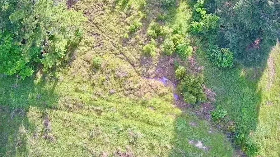 LOT 184 & 185 Hunters Creek Drive, Hillister, TX 77624 - #2