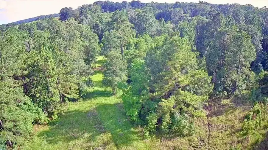 LOT 184 & 185 Hunters Creek Drive, Hillister, TX 77624 - #3
