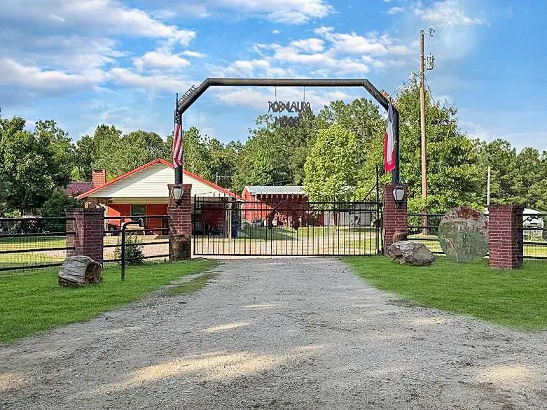 341 Red Wolf Lane, Brookeland, TX 75931 - #2