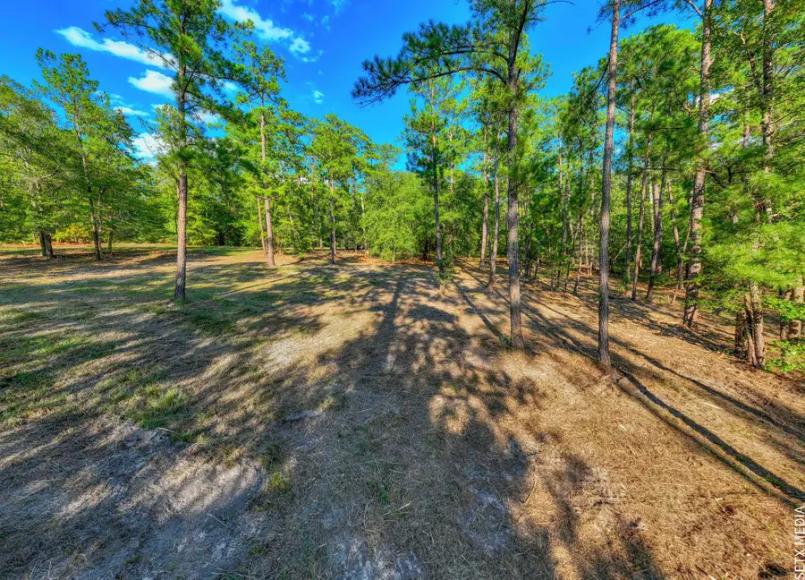 36131 Landsend Drive, Brookeland, TX 75931 - #3