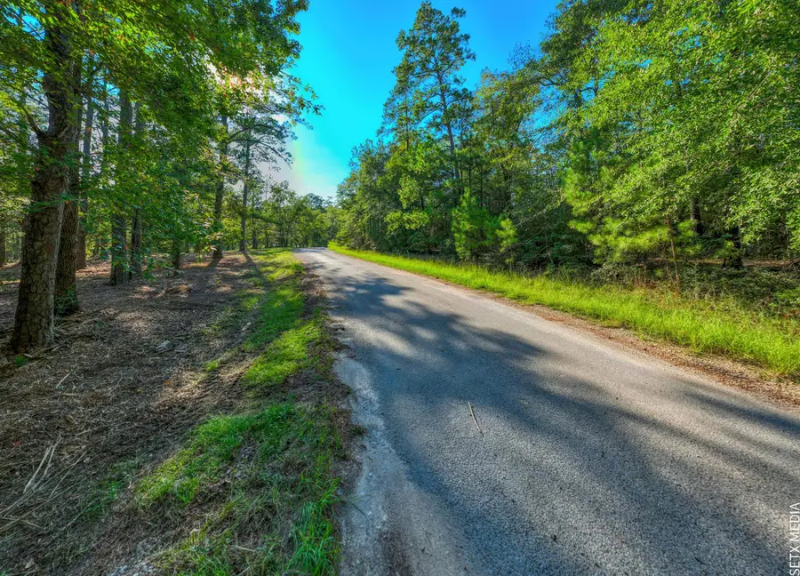 R036131 3-3X Landsend Drive, Brookeland, TX 75931 - #2