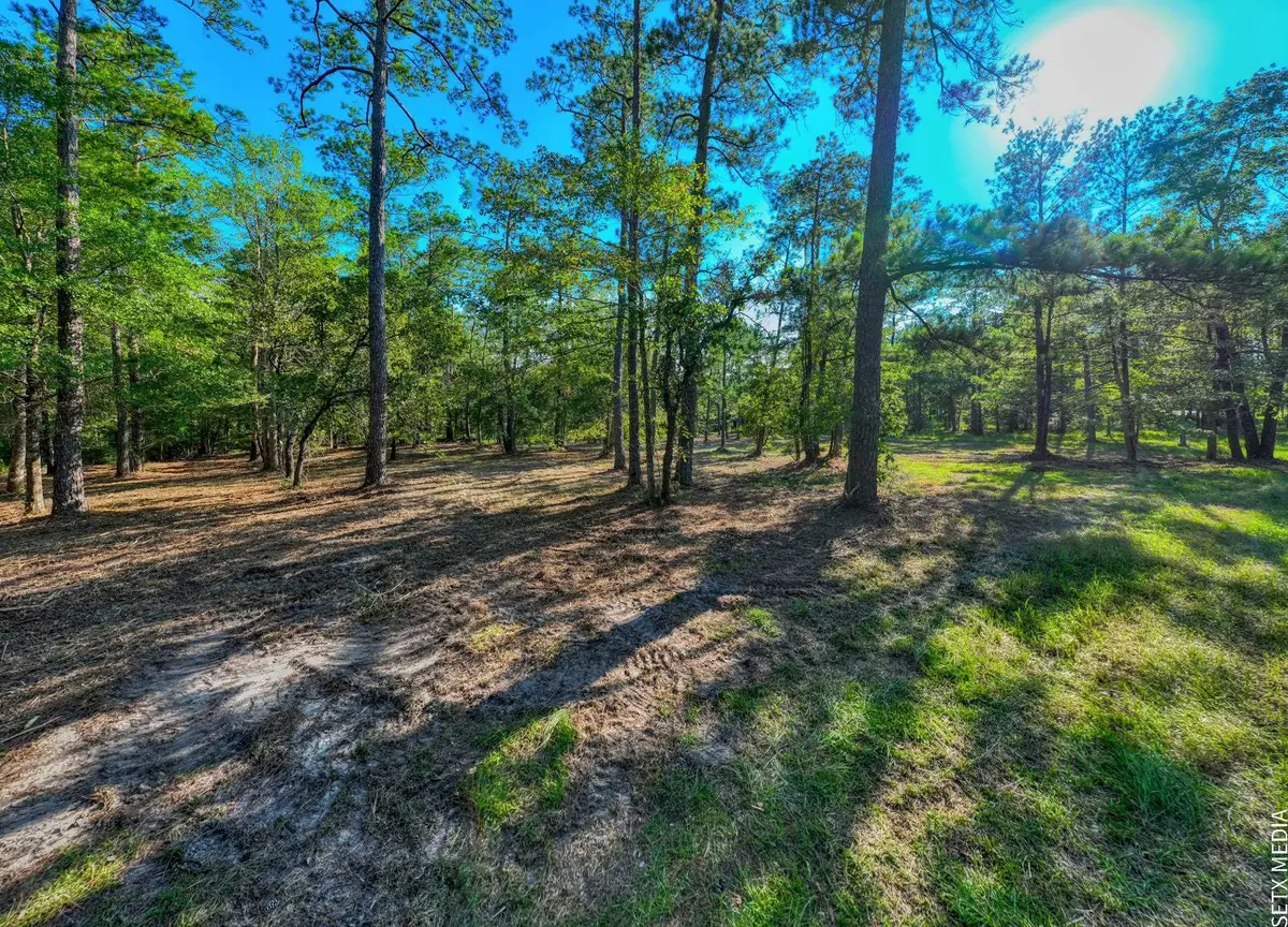 036130 2-2X Landsend Drive, Brookeland, TX 75931 - #1