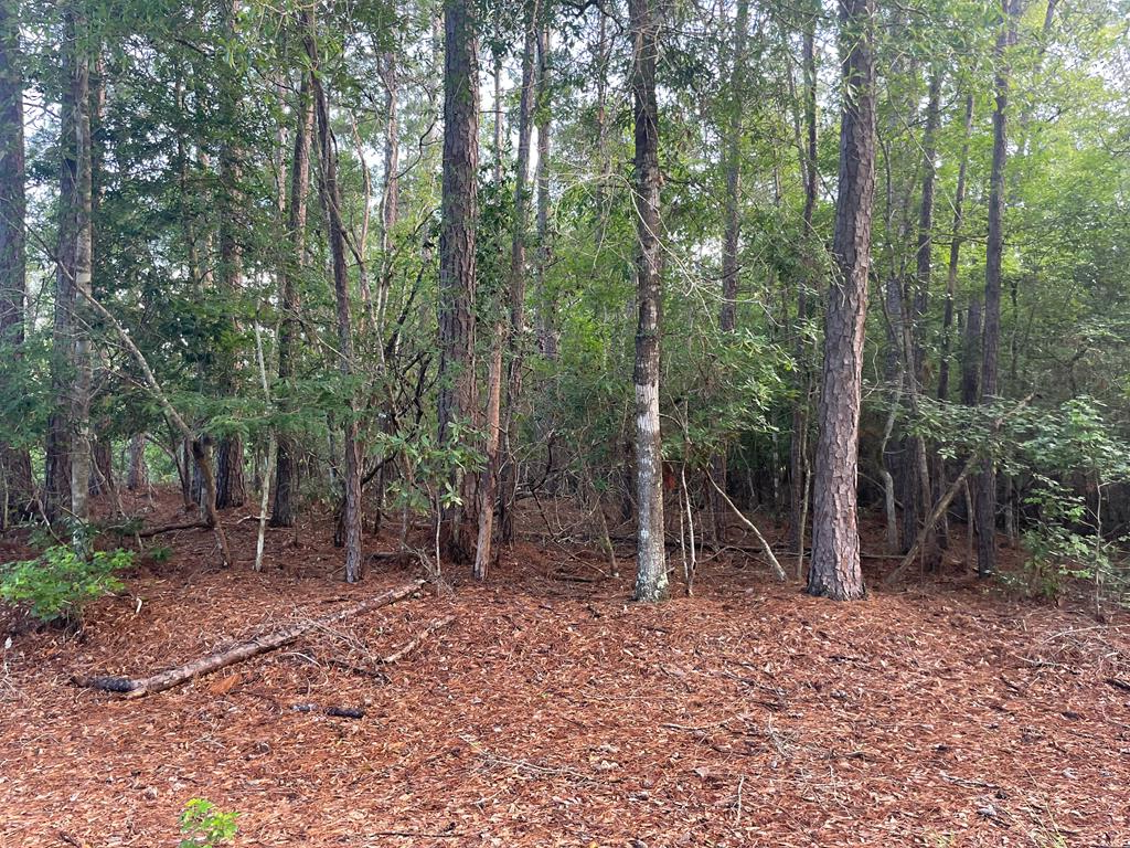 LOT 2 Buck Alley, Village Mills, TX 77663 - #1