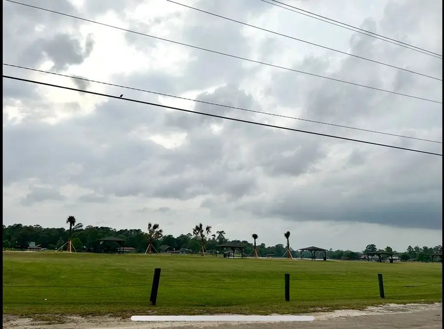 LOT 2 Buck Alley, Village Mills, TX 77663 - #3