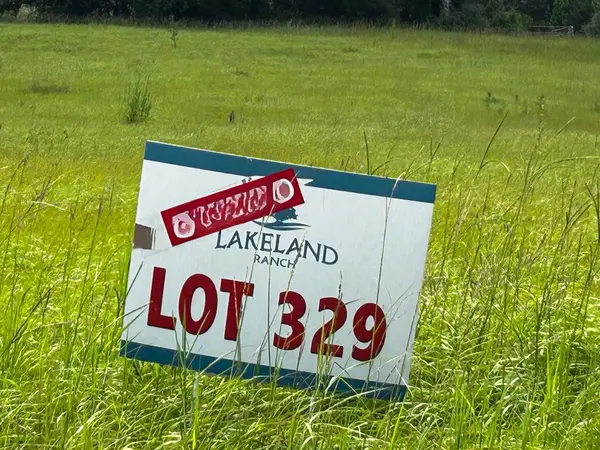 LOT 329 Madison, Hillister, TX 77624