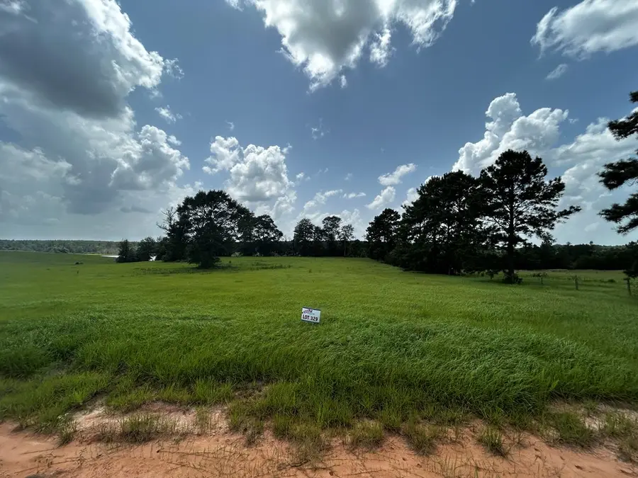 LOT 329 Madison, Hillister, TX 77624 - #2