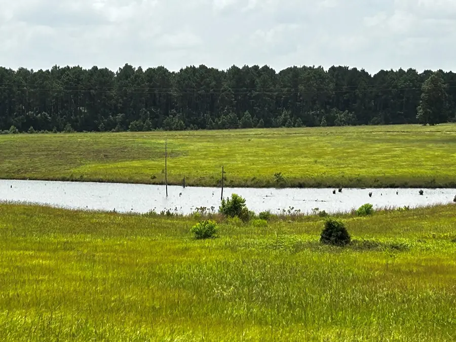 LOT 329 Madison, Hillister, TX 77624 - #3