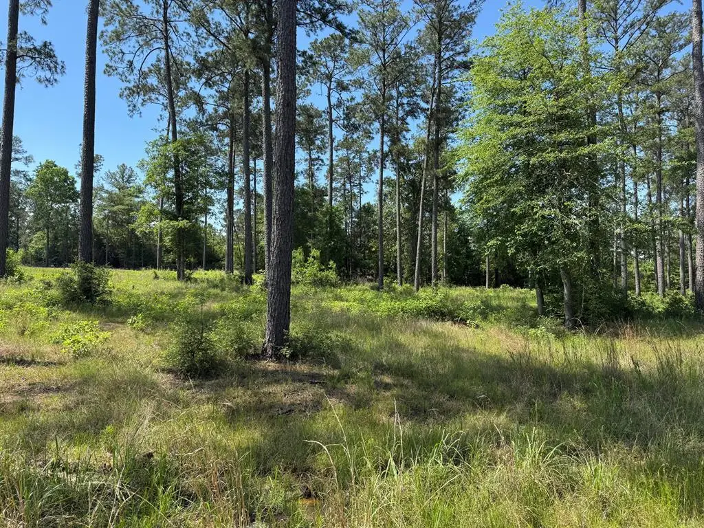 006 Pr 6028, Brookeland, TX 75931 - #1