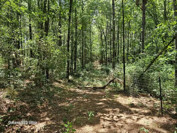 449 County Road 4851, Timpson, TX 75975