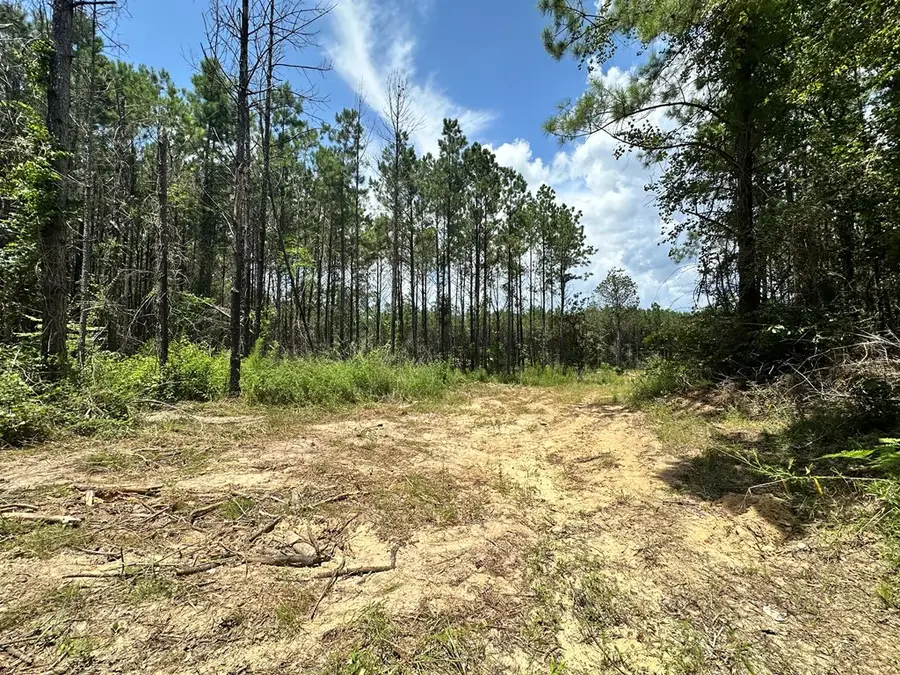 380171 County Road 4210, Woodville, TX 75979 - #2