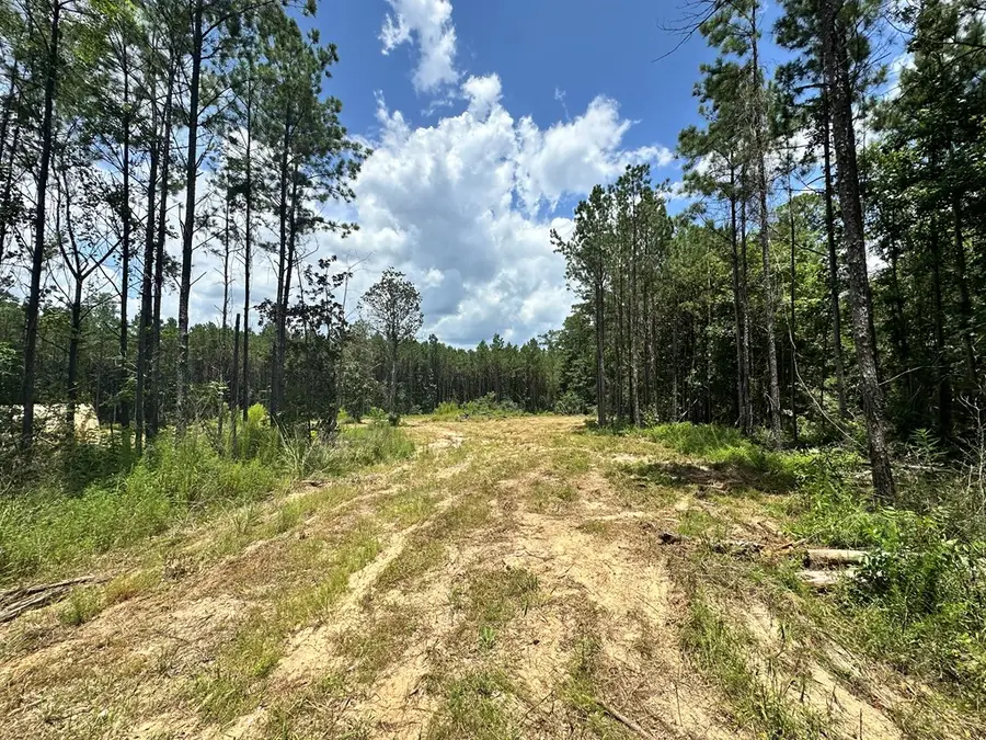 380171 County Road 4210, Woodville, TX 75979 - #3