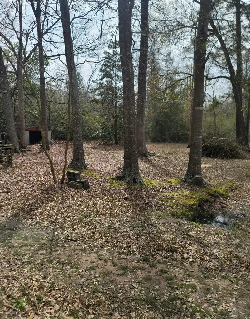 2540 Brentwood Drive, Lufkin, TX 75901 - #2