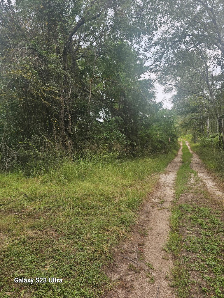 2540 Brentwood Drive, Lufkin, TX 75901 - #3