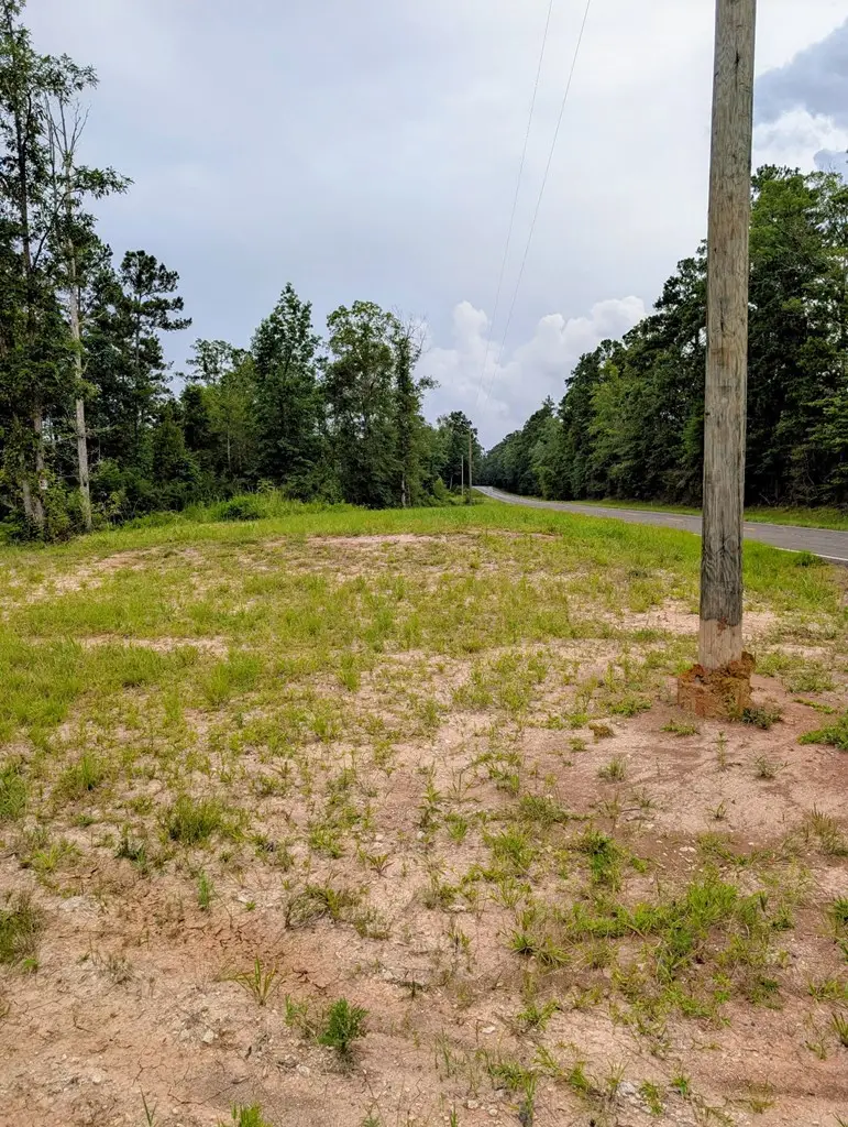 R31880 Fm 1669, Huntington, TX 75949 - #2