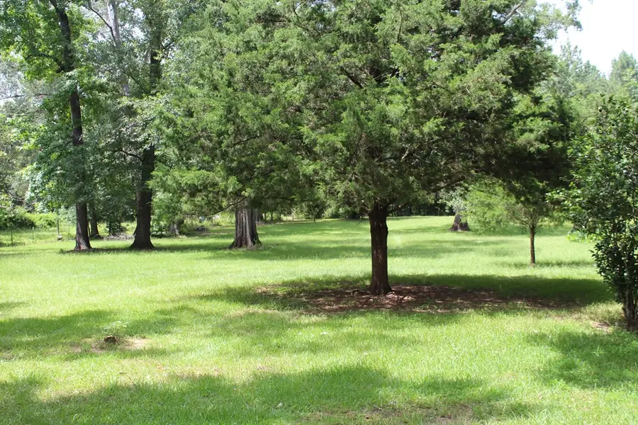 4875 County Road 150, Jasper, TX 75951 - #2
