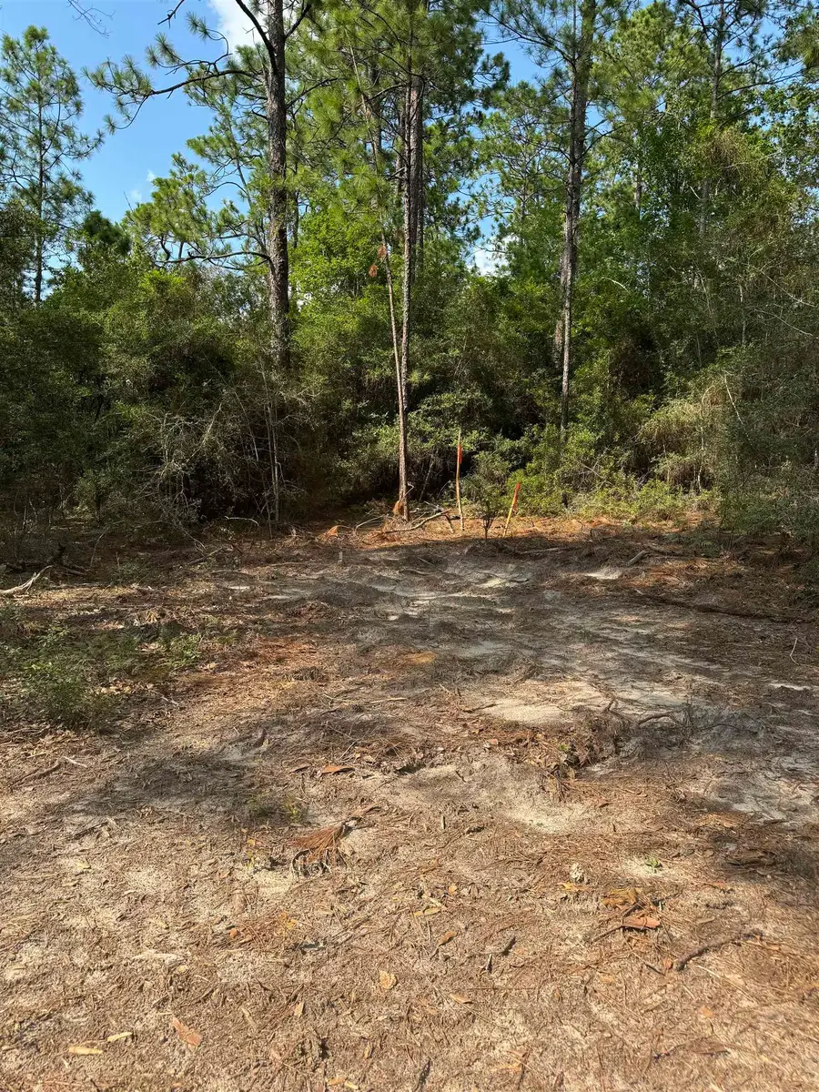 565 Sparkleberry Drive, Brookeland, TX 75931 - #3