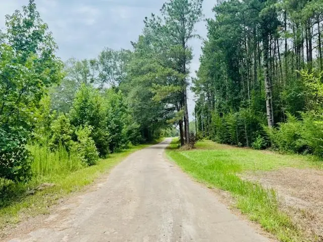 R011954 County Road 563, Kirbyville, TX 75956 - #1