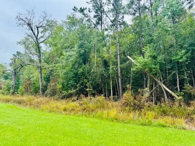 R011954 County Road 563, Kirbyville, TX 75956 - #2