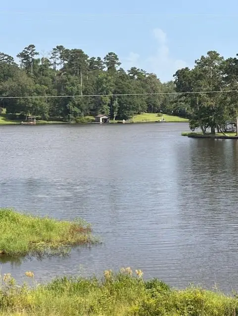 204 Pine Forest Drive, Woodville, TX 75979 - #1