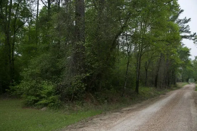 258 Hearne Rd, Corrigan, TX 75939 - #2