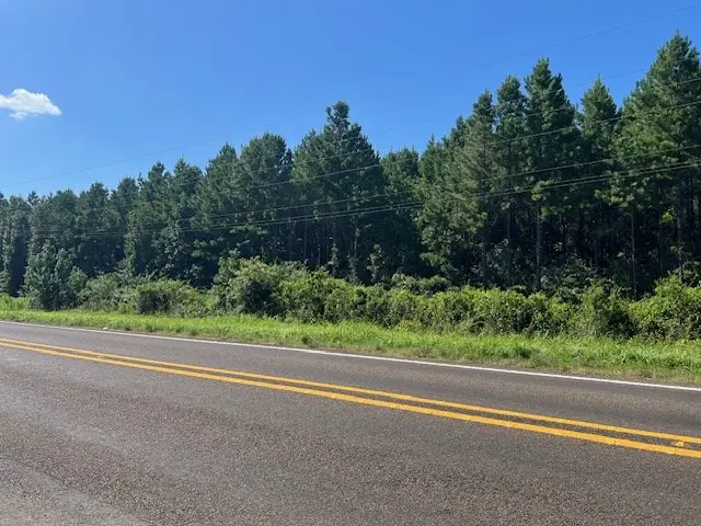 3032 Highway 184, Hemphill, TX 75948 - #2