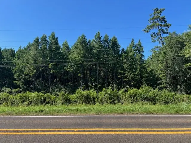 3032 Highway 184, Hemphill, TX 75948 - #3