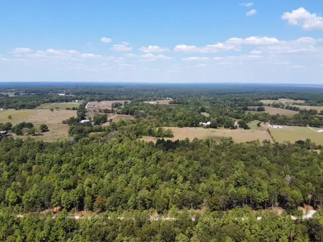 2896P06 Cr 2626, Wells, TX 75976 - #3