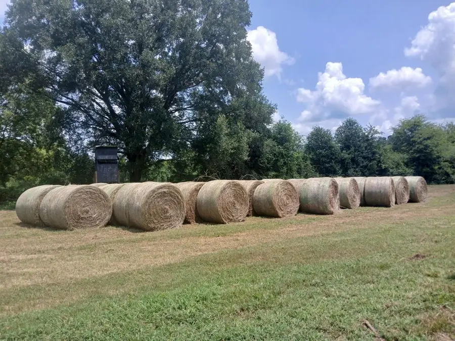 3551 Cr 2734, Wells, TX 75976 - #2