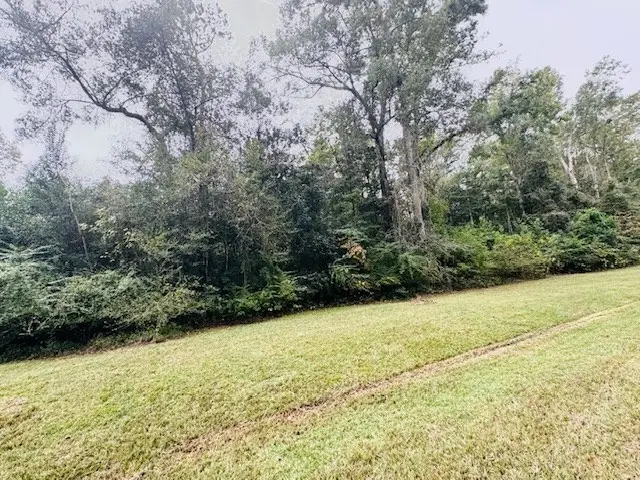 1801 S Wheeler Street, Jasper, TX 75951 - #3