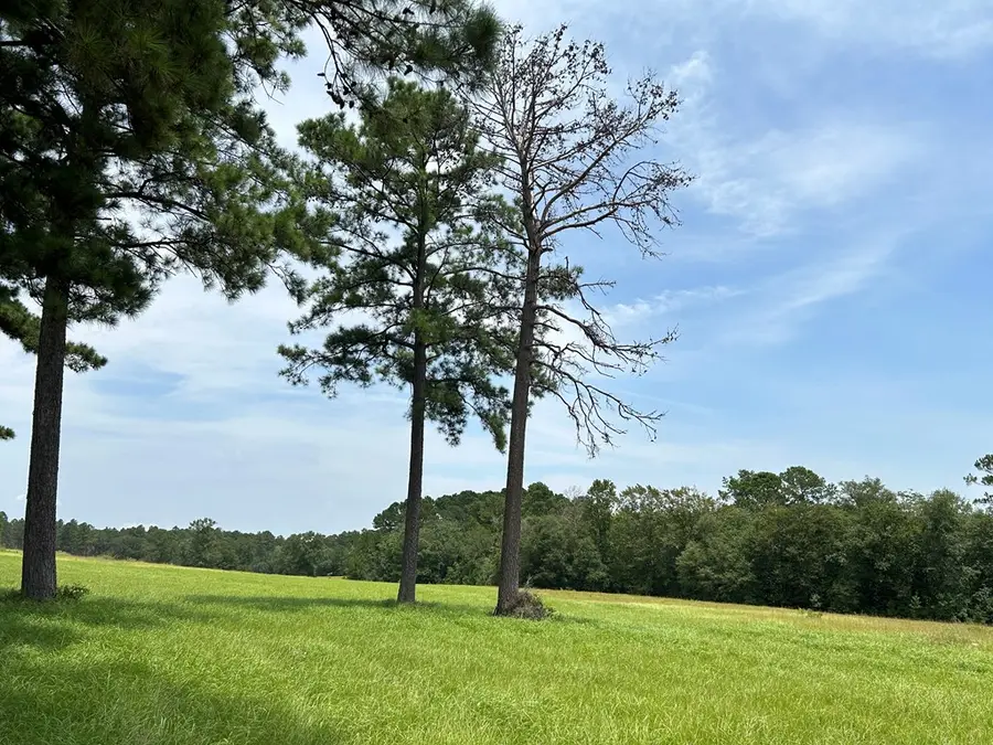LOT 378 Madison, Woodville, TX 75979 - #3