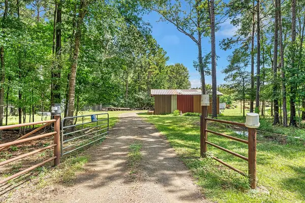 9429 Fm 83, Pineland, TX 75968