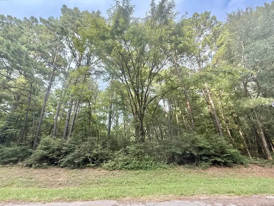 R000122731 Admiral Drive, Hemphill, TX 75948 - #2