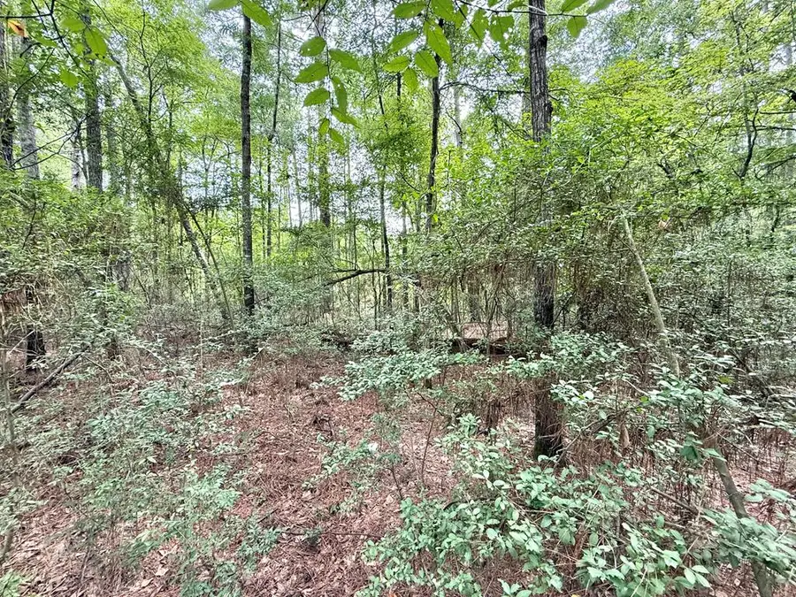 R000122731 Admiral Drive, Hemphill, TX 75948 - #3