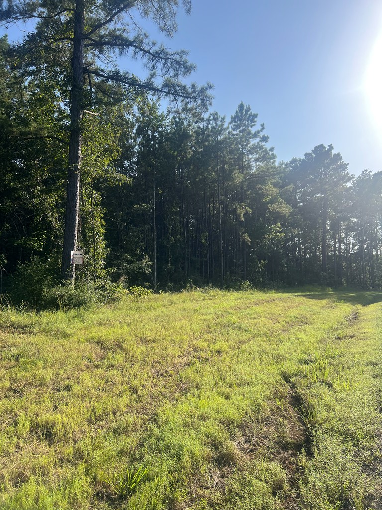 Lot #36 Eagles Nest, Broaddus, TX 75929 - #3