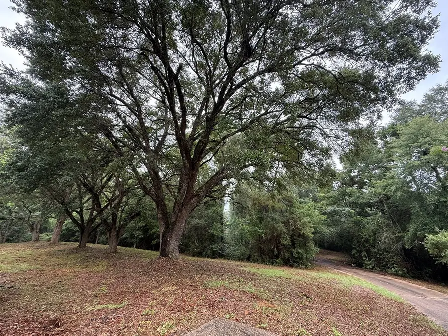 210 Cr 256, Jasper, TX 75951 - #2