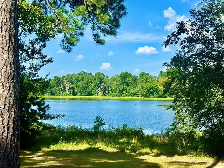 TBD Lakeland Ranch, Hillister, TX 77624 - #2