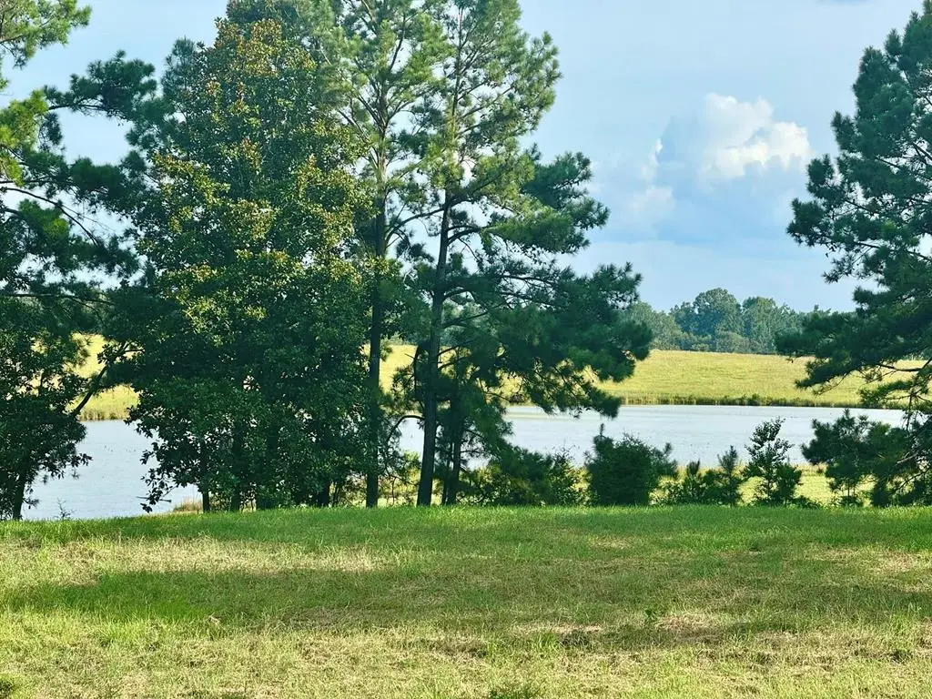 Lot 344 Lakeland Ranch, Hillister, TX 77624 - #1