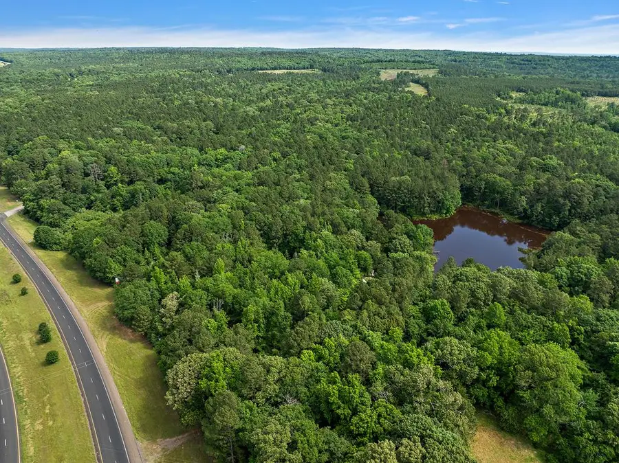 147.23 ACRES Hwy 69, Alto, TX 75925 - #2