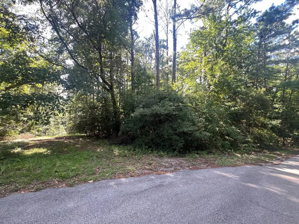 PID 33186 Duffer Drive, Brookeland, TX 75931 - #1