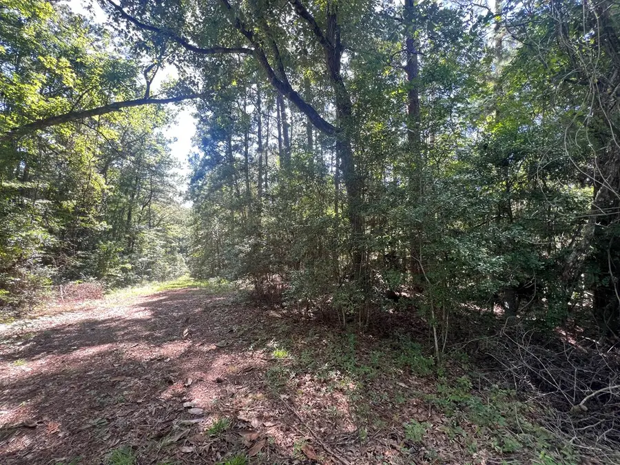 PID 33186 Duffer Drive, Brookeland, TX 75931 - #2