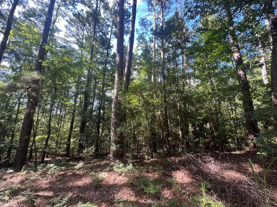 PID 33186 Duffer Drive, Brookeland, TX 75931 - #3