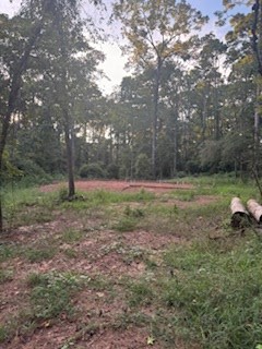 363 Harbor Blvd, Hemphill, TX 75948 - #3