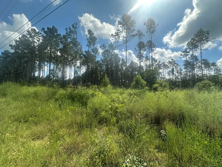 00 Fm 1005, Jasper, TX 75951 - #2