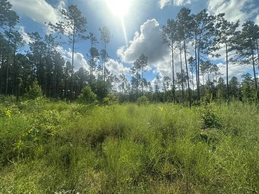 00 Fm 1005, Jasper, TX 75951 - #3