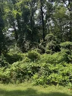 447 Harbor Blvd, Hemphill, TX 75948 - #1